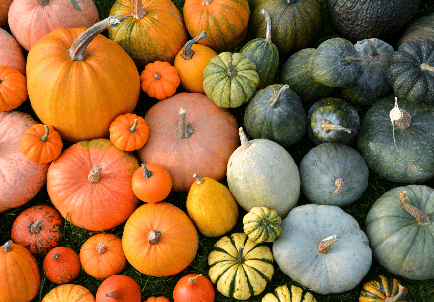 However-Improbable-Post-Covers